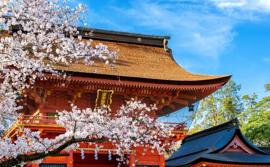 Portail d’un sanctuaire parmi les cerisiers en fleurs Portail d’un sanctuaire parmi les cerisiers en fleurs