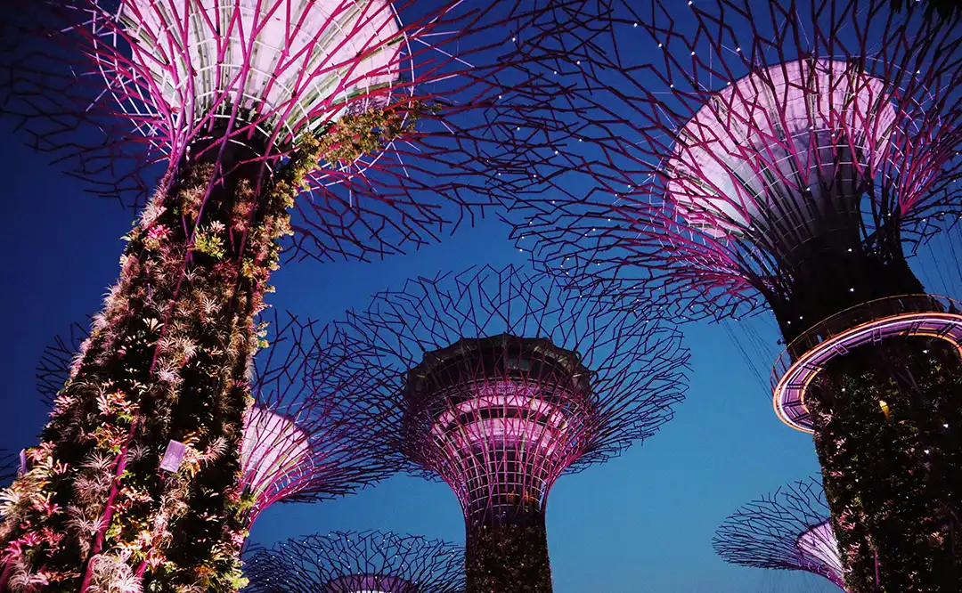 Supertrees illuminés à Gardens by the Bay, Singapour Supertrees illuminés à Gardens by the Bay, Singapour