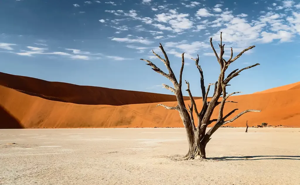 Namibie – vie sauvage et paysages insolites